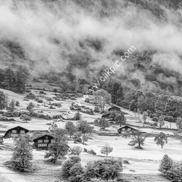 ALPINE CABINS BELOW ROLLING FOG by Tony Barker