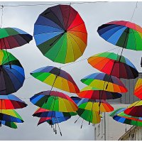 ANY UMBRELLAS by Carl Campbell
