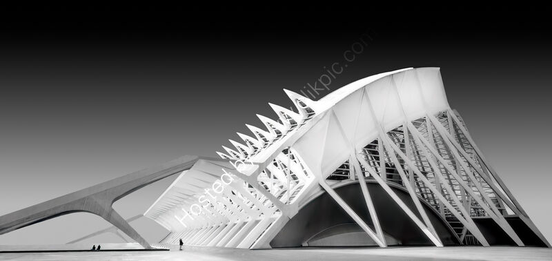 ARTS SCIENCE MUSEUM VALENCIA by Ashley Franklin