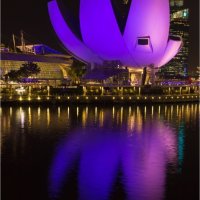 ART SCIENCE MUSEUM SINGAPORE by Brenda Howard