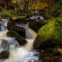 AUTUMNAL CASCADE by Brenda Howard