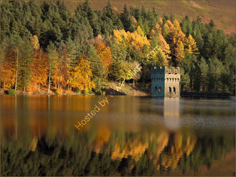 AUTUMN AT LADYBOWER by Gillian Foulds