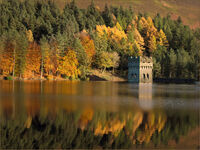 AUTUMN AT LADYBOWER by Gillian Foulds