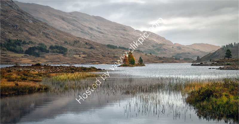 AUTUMN COLOURS IN THE HIGHLANDS by Gavin Duxbury