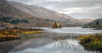 AUTUMN COLOURS IN THE HIGHLANDS by Gavin Duxbury