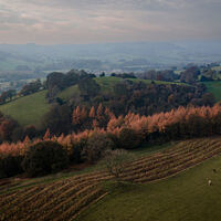 AUTUMN IN ALPORT by Brenda Howard