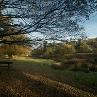 AUTUMN LEAVING by Pamela Severn