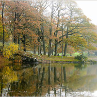 AUTUMN MORNING by Sue Swain