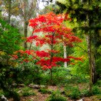 AUTUMN ORTON by Alan Carr