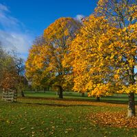 AUTUMN RETURNS By Alan Locke