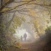 AUTUMN WALK by Ashley Franklin