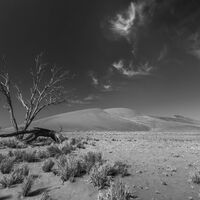 A HARSH ENVIRONMENT by Christine Maughan