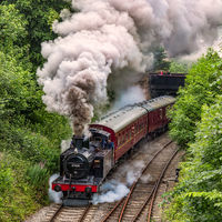 A HEAD OF STEAM by Ashley Franklin