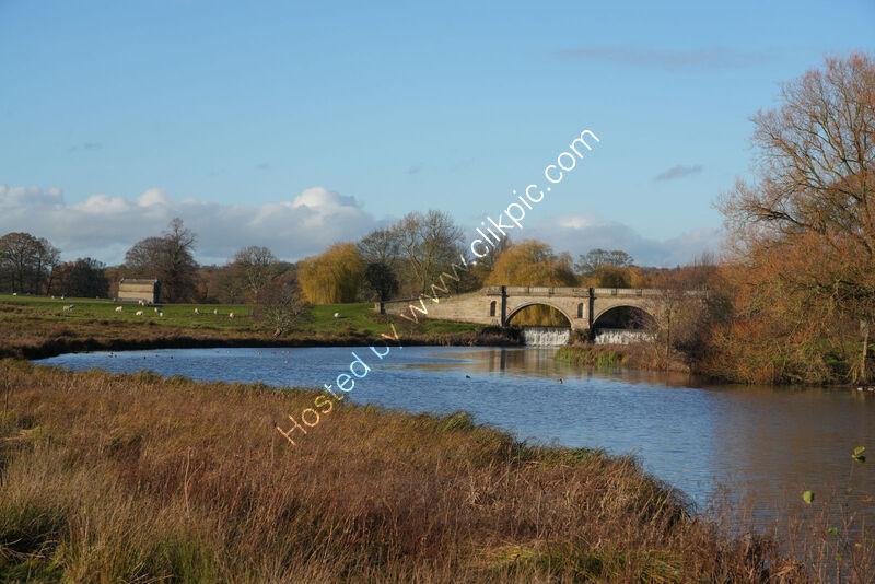 A LOCAL LANDSCAPE by Malcolm Neal