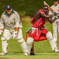 A MASSAI CRICKET SIX by Stanley J Annable