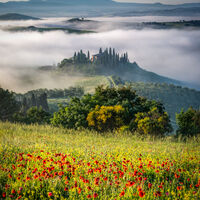 A MIST OPPORTUNITY by Ashley Franklin