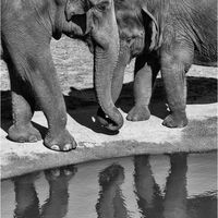 A MOTHERS LOVE by Mark Constable