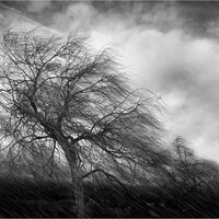A SUDDEN SQUALL by Sue Swain