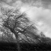 A SUDDEN SQUALL by Sue Swain