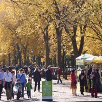 A WALK IN THE PARK by Anne Read