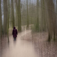 A WALK IN THE PARK by Roger Fountain
