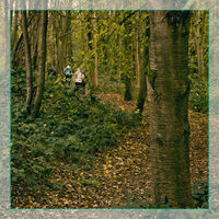 A WALK IN THE WOODS by Malcolm Sargent