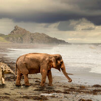 A WALK ON THE BEACH by Malcolm Sargent