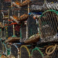 BASKETS by David Goodman