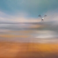 BEACH DREAM by Graham Duro