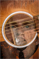 BEHIND BLUE EYES by David Harrison
