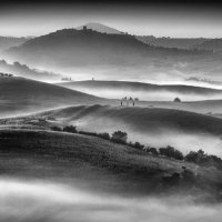 BELVEDERE DAWN by Ashley Franklin