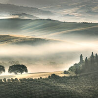 BELVEDERE MORNING by Ashley Franklin