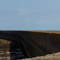 BERWICK LIGHTHOUSE by David Harrison
