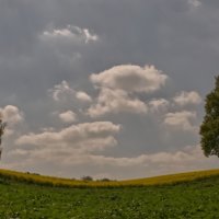 BETWEEN THE TREES by Malcolm Sargent