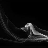 BIRD IN THE SMOKE by Wayne Churchill