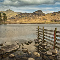 BLEA TARN by Peter Ward