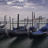 BOBBING GONDOLAS IN FRONT OF SAN GIORGION MAGGIORE by Peter Ward