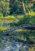 BRIDGE REFLECTIONS ON THE LAKE by Tony Barker