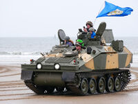 BRITISH COASTAL DEFENCE by Ralph Willis