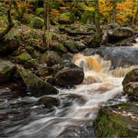 BURBAGE BROOK, PADLEY GORGE