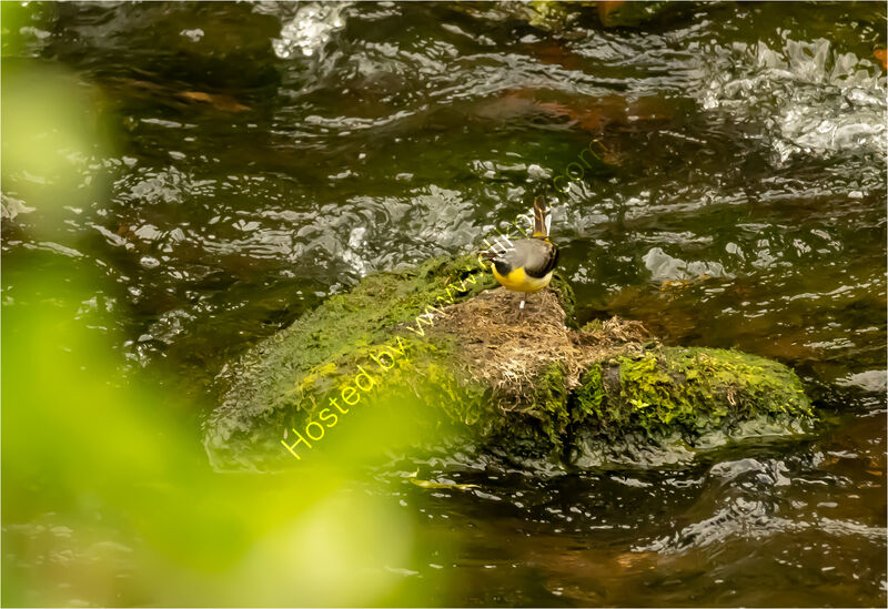 CATCH THE HATCH by Chris Nightingale