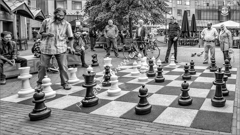 CHECK MATE IN THREE by Dave Boardman