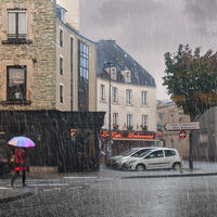 CHERBOURG CHATS ET CHIENS by Grahom Duro