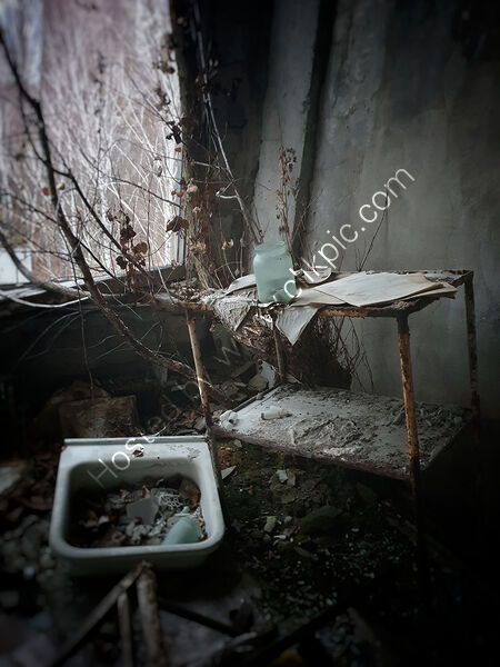 CHERNOBYL AFTER THE FALLOUT by Clare O'Flanagan