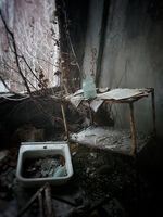 CHERNOBYL AFTER THE FALLOUT by Clare O'Flanagan