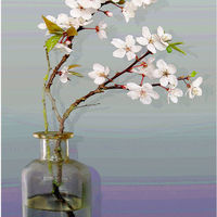 CHERRY BLOSSOM by Sue Swain