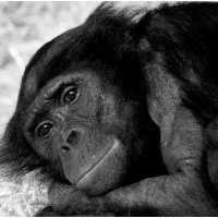 CHILLING OUT by Derrick Tuplin