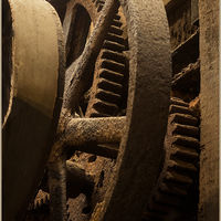 CLOGGED COGS by Sue Swain