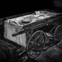 COFFIN CART By Michael Mears