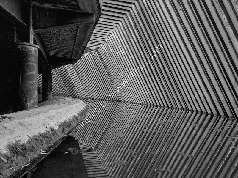CONVERGENCE by Clare Oflanagan